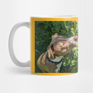 Stop and Smell the Flowers Mug